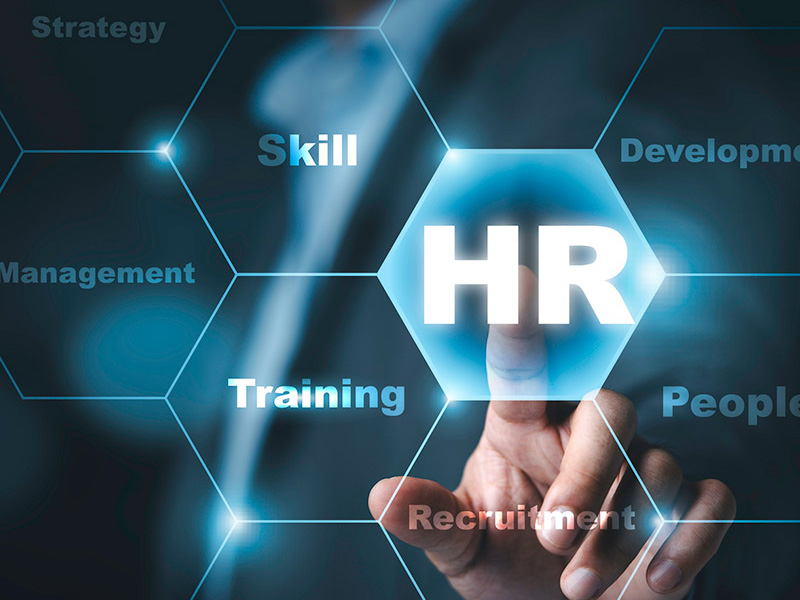 Work, Careers and Workforce Systems